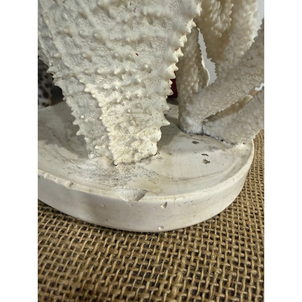 Vintage Shell Starfish Coral Crucifix light Grotto Of Redemption West Bend Iowa - Picture 11 of 16